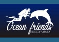 Centro de Buceo y Freediving Ocean Friends
