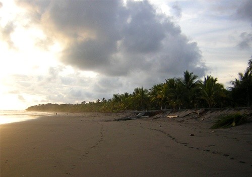 Descubre Costa Rica Surf Camp